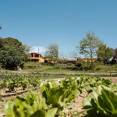 Casa Rural En El Campo Las Dalias Tordera Eksteriør billede