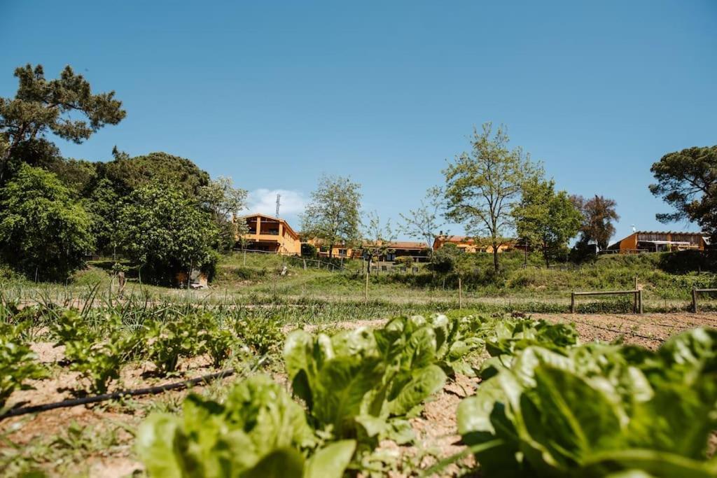 Casa Rural En El Campo Las Dalias Tordera Eksteriør billede